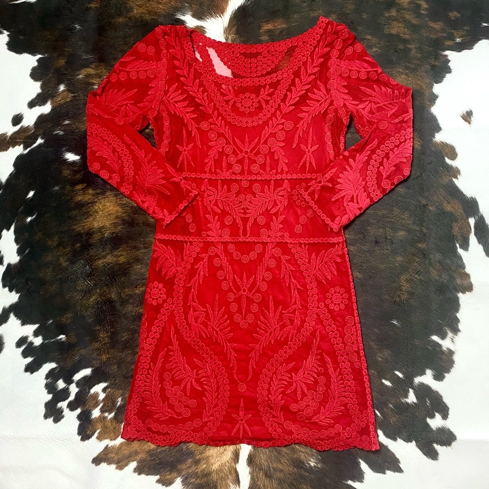 EUC Express Lace Mini Dress 💃🏻